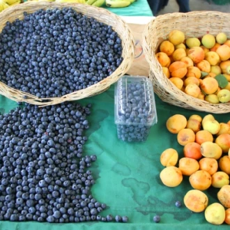 Slăbiți cu fructele Acai