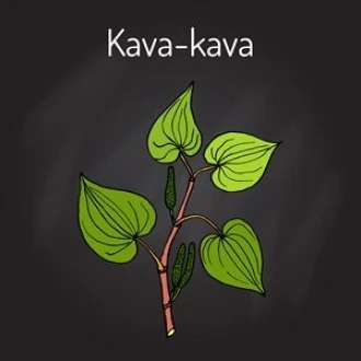 Kava Kava – Radacina din Marea Sudului