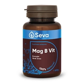 Seva - Mag B VIT